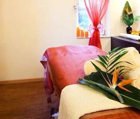 Ringhotel Vitalhotel Ambiente 4* باد فيلسناك