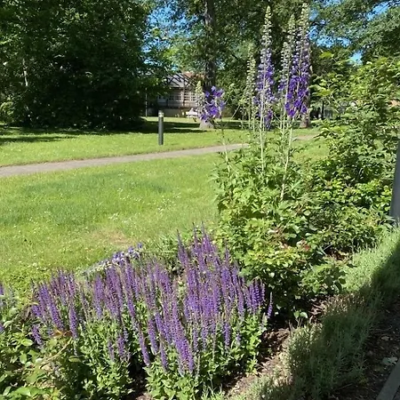 Ringhotel Vitalhotel Ambiente 호텔 4*