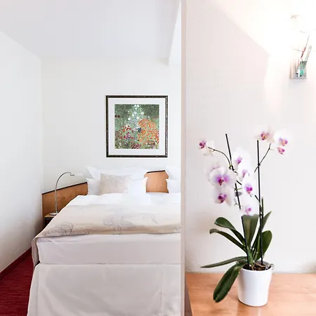 Ringhotel Vitalhotel Ambiente Otel