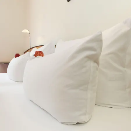 Ringhotel Vitalhotel Ambiente 호텔 바트빌스낙