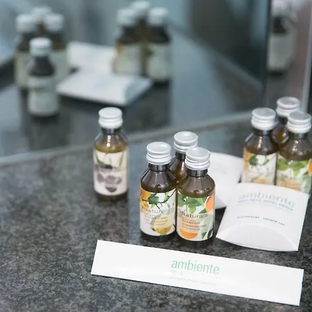 Ringhotel Vitalhotel Ambiente 호텔 4*