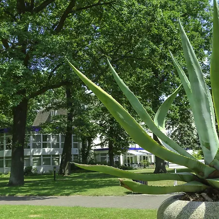 Ringhotel Vitalhotel Ambiente Otel