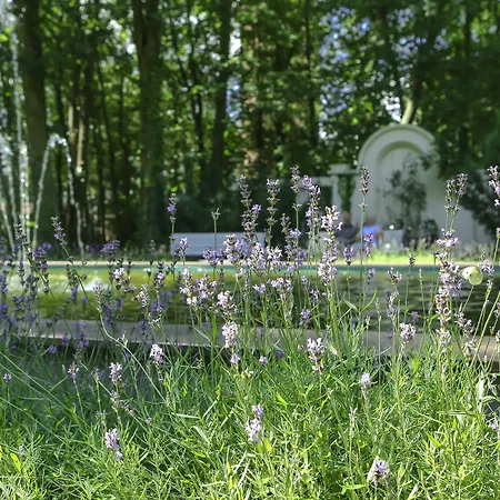 Otel Ringhotel Vitalhotel Ambiente Bad Wilsnack