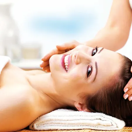 Ringhotel Vitalhotel Ambiente 4* باد فيلسناك