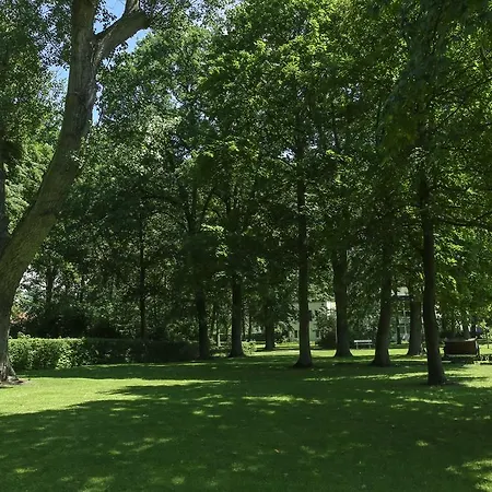 Ringhotel Vitalhotel Ambiente 호텔 4*