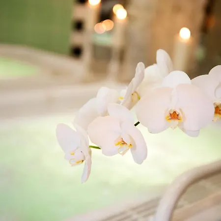 Ringhotel Vitalhotel Ambiente 4* Bad Wilsnack