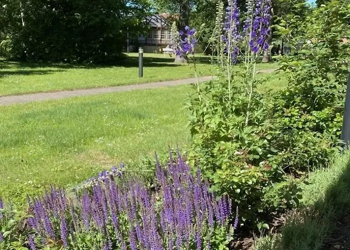 Ringhotel Vitalhotel Ambiente Hotel 4*