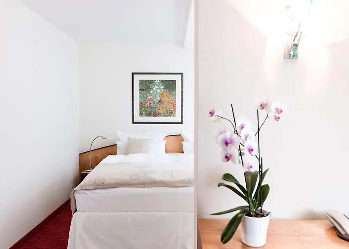 Ringhotel Vitalhotel Ambiente فندق