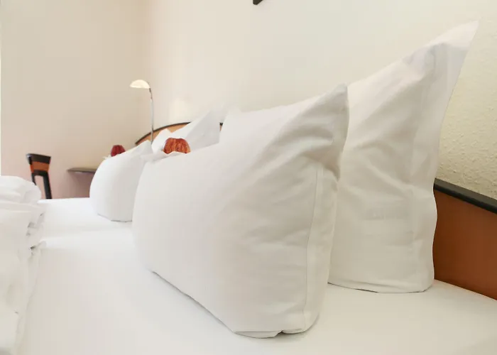 Ringhotel Vitalhotel Ambiente فندق باد فيلسناك