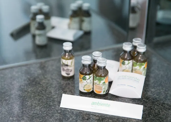 Ringhotel Vitalhotel Ambiente فندق 4*