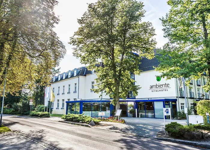 Ringhotel Vitalhotel Ambiente Hotel 4*