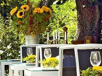 Hotel Ringhotel Vitalhotel Ambiente 4*